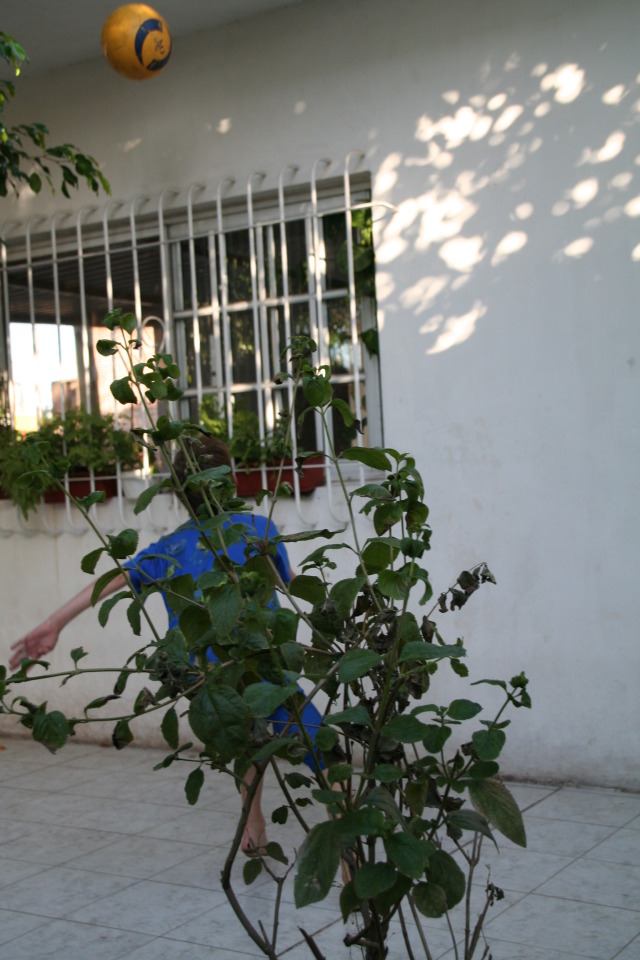 2009/03(March)/Argentina/4-Soccer-in-driveway/640x480_2009-03-15-Argentia-035-Chance-soccer.JPG