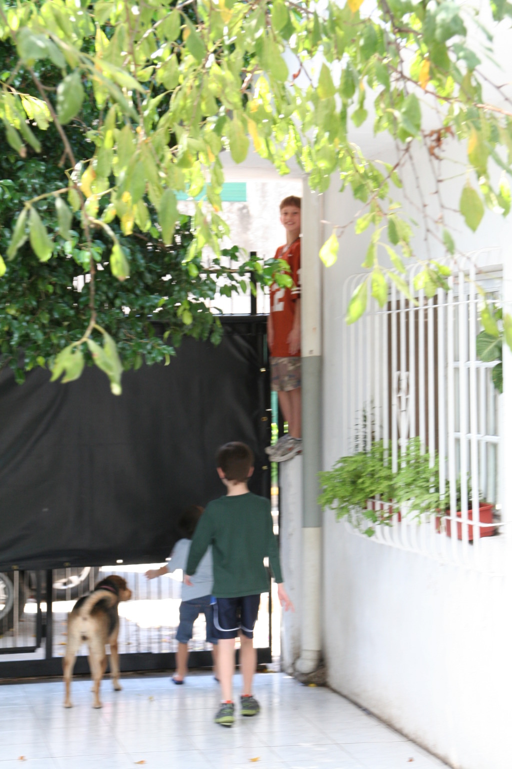 2009/03(March)/Argentina/5-Hanging-at-the-house/1024x768_2009-03-20-Argentina-02-Chance-Dax-Rodrigo.JPG