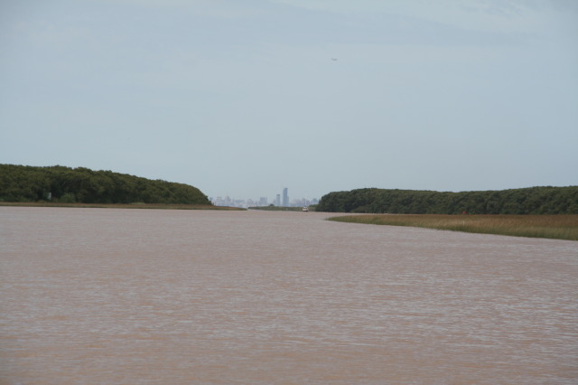 2009-03-16-Argentia-Tigre-44.JPG