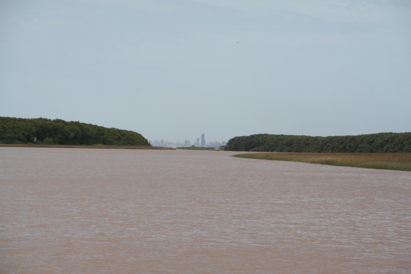 2009-03-16-Argentia-Tigre-44.JPG