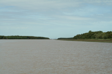 2009-03-16-Argentia-Tigre-43.JPG