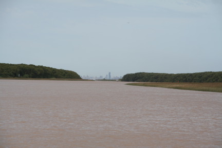 2009-03-16-Argentia-Tigre-44.JPG