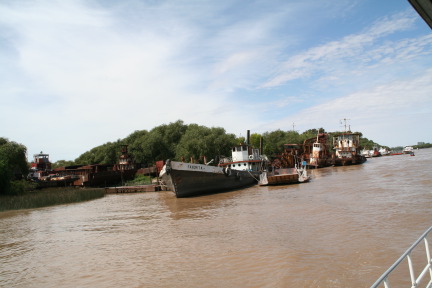 2009-03-16-Argentia-Tigre-58.JPG