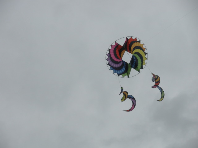 2009-03-11-Hyatt-Hillcountry-Bastrop-06-Kite.jpg