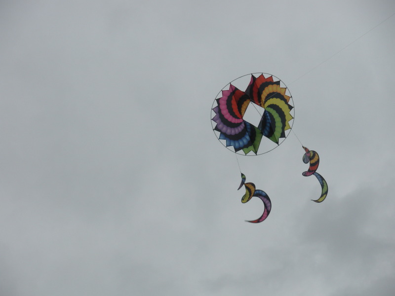 2009-03-11-Hyatt-Hillcountry-Bastrop-06-Kite.jpg