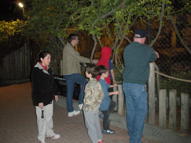 2009-03-11-Pack409-San-Antonio-zoo-02-Matt-Dax.jpg