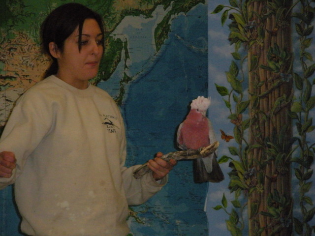 2009-03-11-Pack409-San-Antonio-zoo-06.jpg