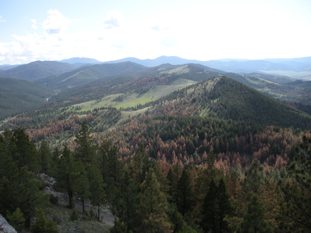 2009/06(June)/ITOC-Helena-MT-Ft-Harrison/1024x768_2009-06-16-ITOC-Helena-MT-Ft-Harrison-45.JPG