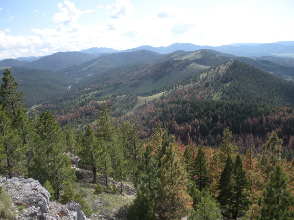 2009/06(June)/ITOC-Helena-MT-Ft-Harrison/1024x768_2009-06-16-ITOC-Helena-MT-Ft-Harrison-50.JPG