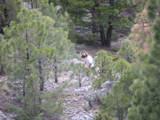 2009/06(June)/ITOC-Helena-MT-Ft-Harrison/640x480_2009-06-16-ITOC-Helena-MT-Ft-Harrison-44-Deb.JPG