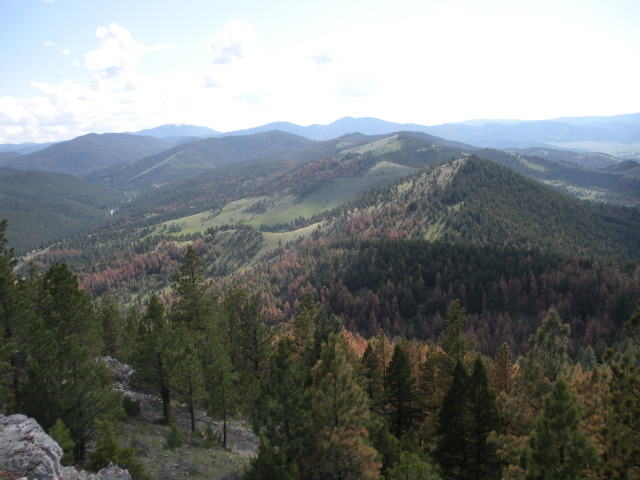 2009/06(June)/ITOC-Helena-MT-Ft-Harrison/640x480_2009-06-16-ITOC-Helena-MT-Ft-Harrison-48.JPG