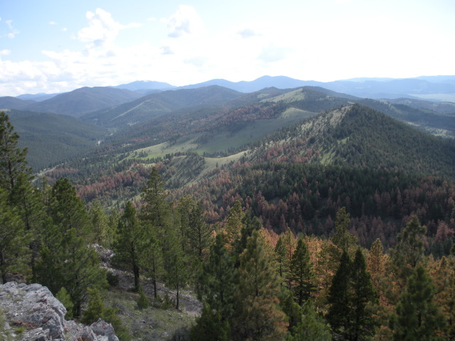 2009/06(June)/ITOC-Helena-MT-Ft-Harrison/640x480_2009-06-16-ITOC-Helena-MT-Ft-Harrison-49.JPG