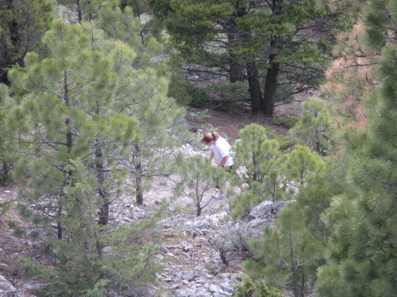 2009/06(June)/ITOC-Helena-MT-Ft-Harrison/800x600_2009-06-16-ITOC-Helena-MT-Ft-Harrison-44-Deb.JPG