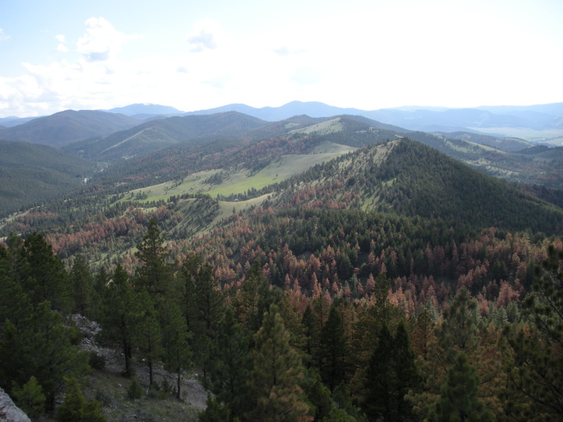 2009/06(June)/ITOC-Helena-MT-Ft-Harrison/800x600_2009-06-16-ITOC-Helena-MT-Ft-Harrison-45.JPG