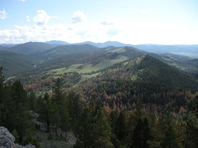 2009/06(June)/ITOC-Helena-MT-Ft-Harrison/800x600_2009-06-16-ITOC-Helena-MT-Ft-Harrison-46.JPG