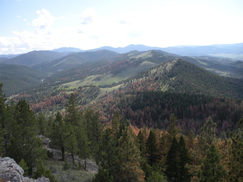 2009/06(June)/ITOC-Helena-MT-Ft-Harrison/800x600_2009-06-16-ITOC-Helena-MT-Ft-Harrison-48.JPG