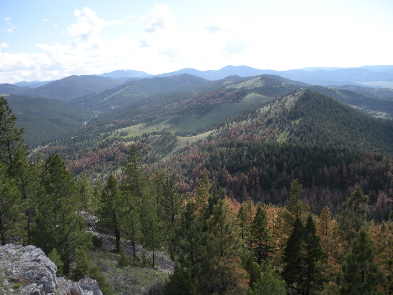2009/06(June)/ITOC-Helena-MT-Ft-Harrison/800x600_2009-06-16-ITOC-Helena-MT-Ft-Harrison-49.JPG