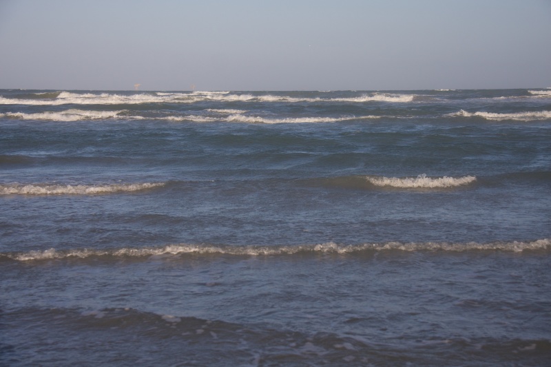 IMG_5586.jpg