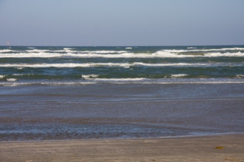 IMG_5509.jpg