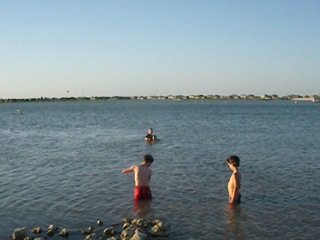 2009-07-14-Pack409-Den4-Ice-sliding-18-Bevo-swims-VIDEO.png