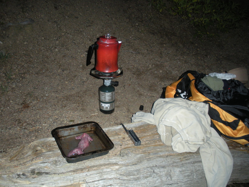 2009/08(August)/Camping-Boulder-Lake-CO/800x600_2009-08-28-Camping-Frisco-CO-32-squirrel.JPG