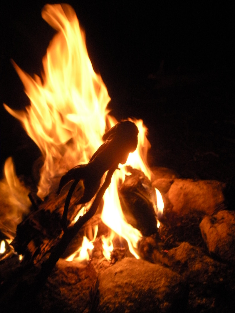 2009/08(August)/Camping-Boulder-Lake-CO/800x600_2009-08-28-Camping-Frisco-CO-38-cooking-squirrel.JPG
