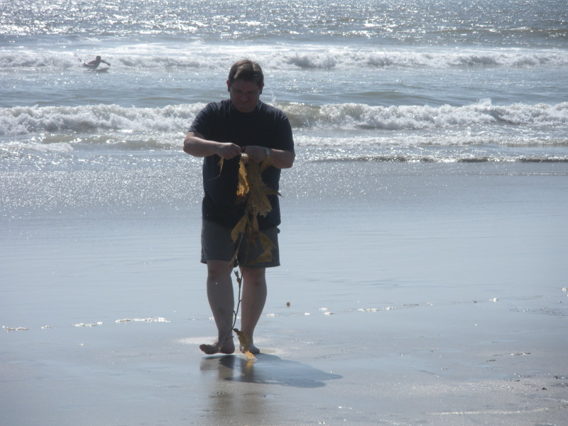2009/09(September)/ITOC-R1-Huntington-Beach-Training/Day3/800x600_2009-09-17-ITOC-R1-Huntington-Beach-training-11-teambuilder-contest-Stan-seaweed.JPG