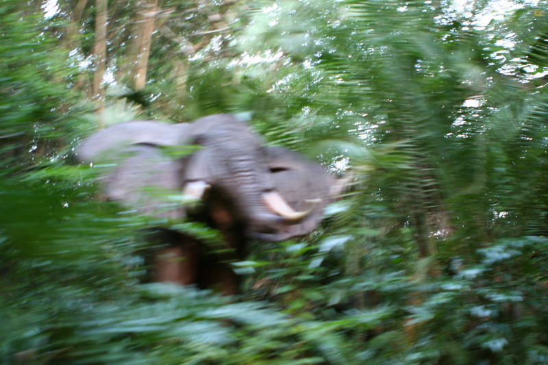 2009/10(October)/Disney-Cruise/158CANON/800x600_IMG_5882.JPG