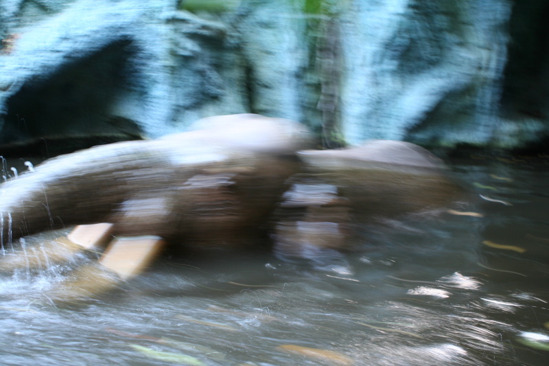 2009/10(October)/Disney-Cruise/158CANON/800x600_IMG_5892.JPG