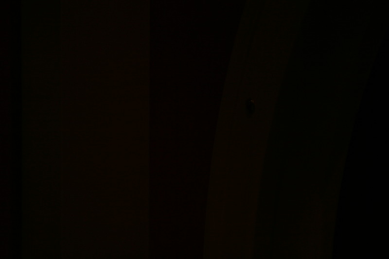 2009/10(October)/Disney-Cruise/160CANON/800x600_IMG_6025.JPG