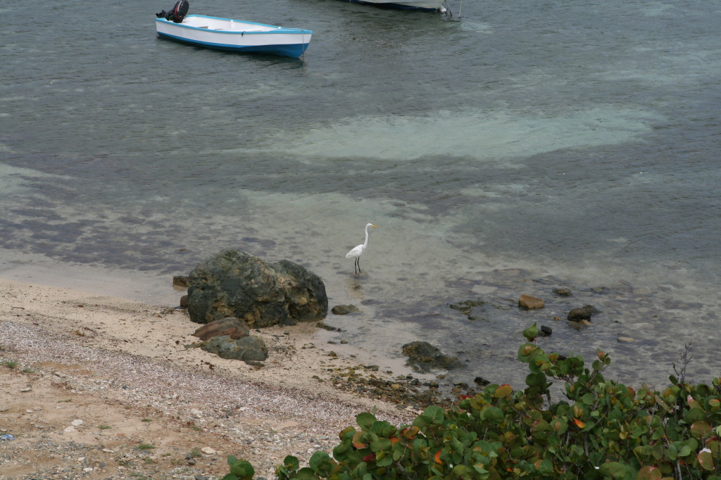 2009/10(October)/Disney-Cruise/161CANON/1024x768_IMG_6154.JPG