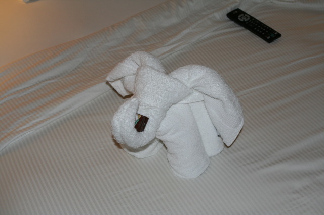 2009/10(October)/Disney-Cruise/161CANON/640x480_IMG_6136.JPG