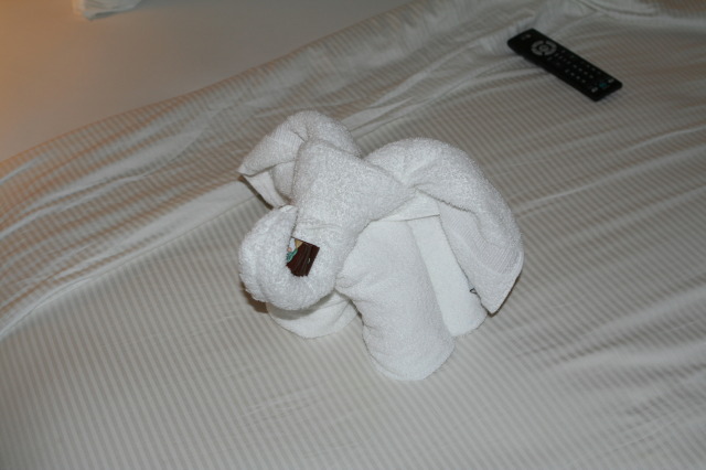 2009/10(October)/Disney-Cruise/161CANON/640x480_IMG_6137.JPG