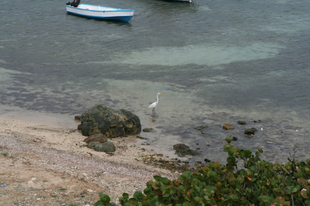 2009/10(October)/Disney-Cruise/161CANON/640x480_IMG_6153.JPG