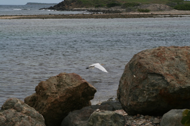 2009/10(October)/Disney-Cruise/161CANON/640x480_IMG_6162.JPG