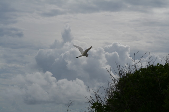 2009/10(October)/Disney-Cruise/161CANON/640x480_IMG_6167.JPG