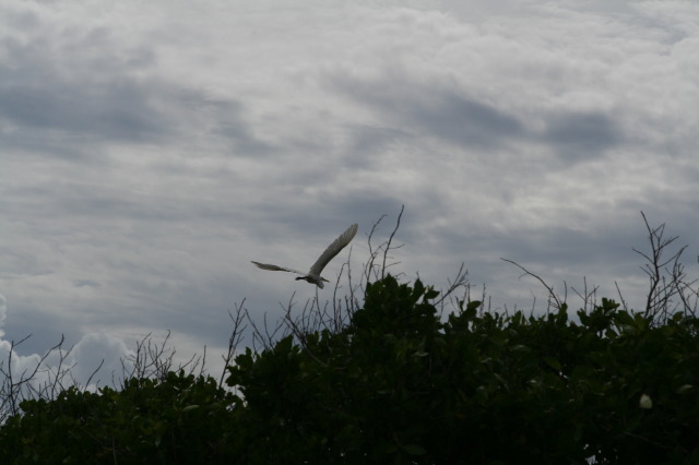 2009/10(October)/Disney-Cruise/161CANON/640x480_IMG_6169.JPG
