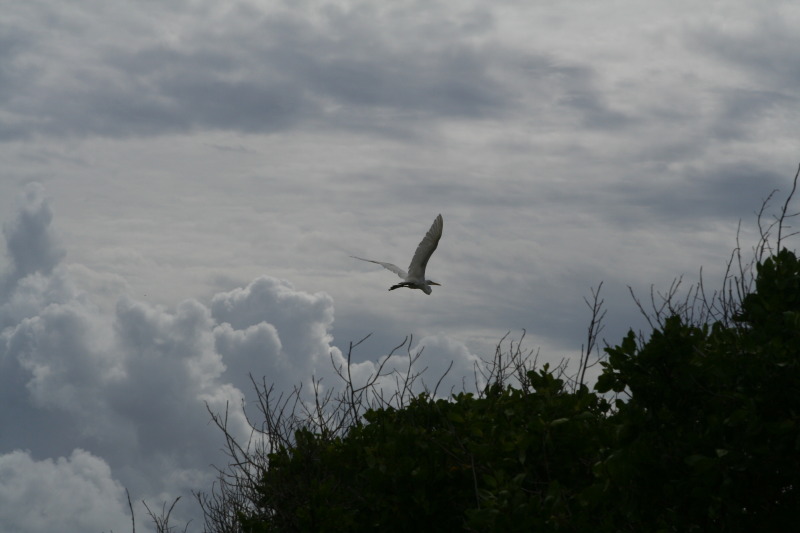 2009/10(October)/Disney-Cruise/161CANON/800x600_IMG_6168.JPG