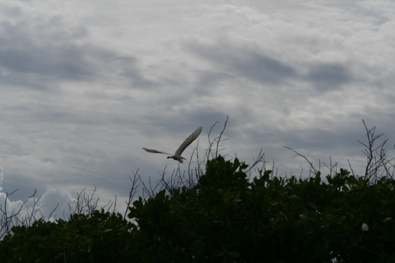 2009/10(October)/Disney-Cruise/161CANON/800x600_IMG_6169.JPG