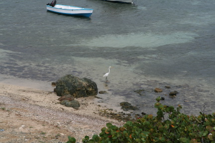 IMG_6154.JPG
