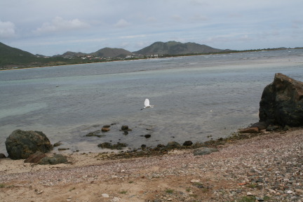 IMG_6155.JPG