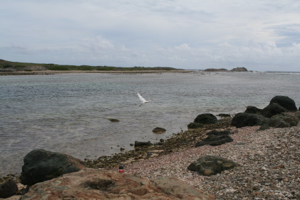 IMG_6164.JPG