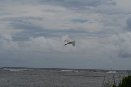 IMG_6165.JPG