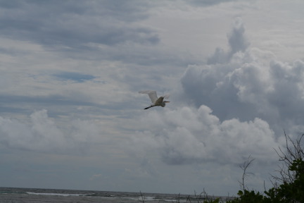 IMG_6166.JPG