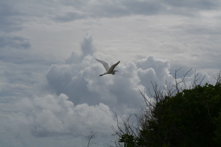 IMG_6167.JPG