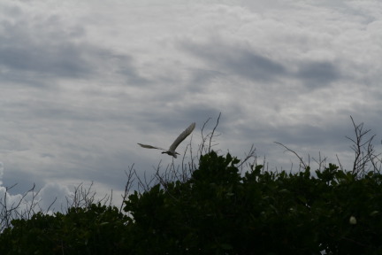 IMG_6169.JPG