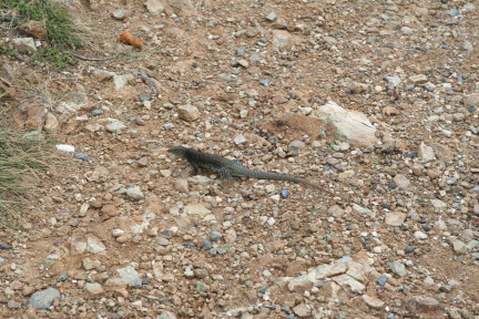 IMG_6175.JPG