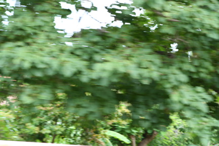 IMG_6269.JPG