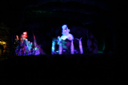 IMG_6528.JPG