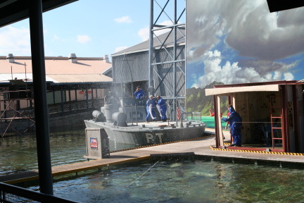 IMG_6554.JPG